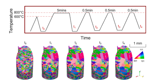 Twin formation during abnormal grain growth in pure Ni